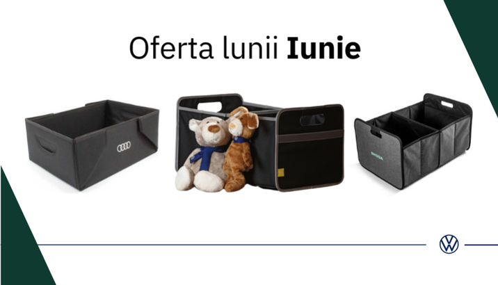Oferta Lunii